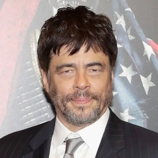 Benicio Del Toro