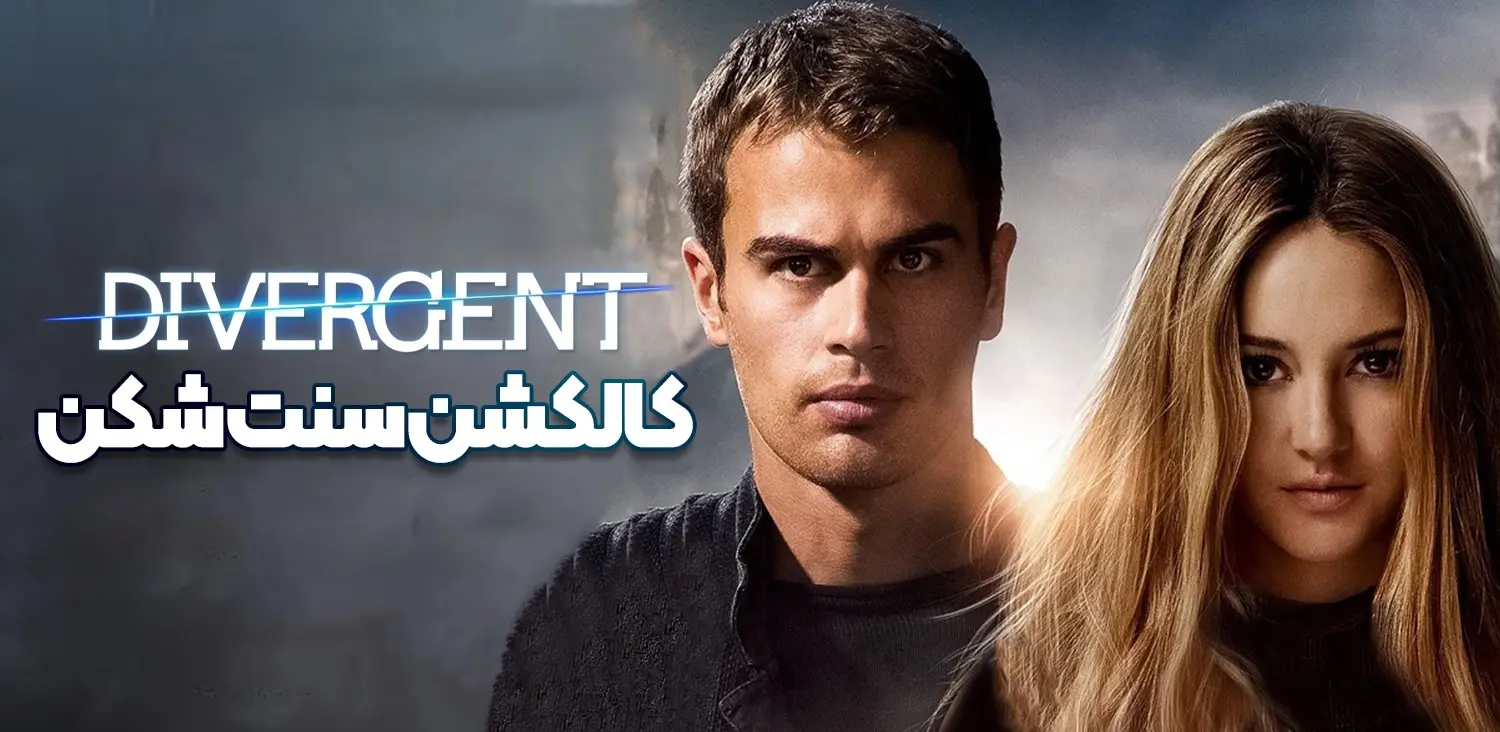 The Divergent Series